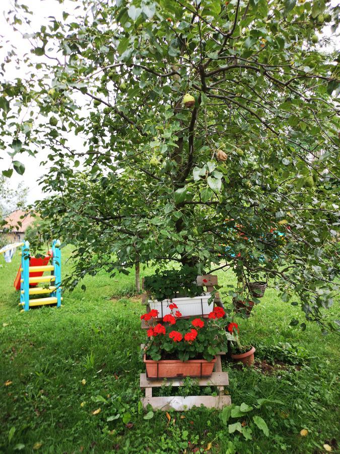 Family Apartment With Garden Sarajevo Buitenkant foto