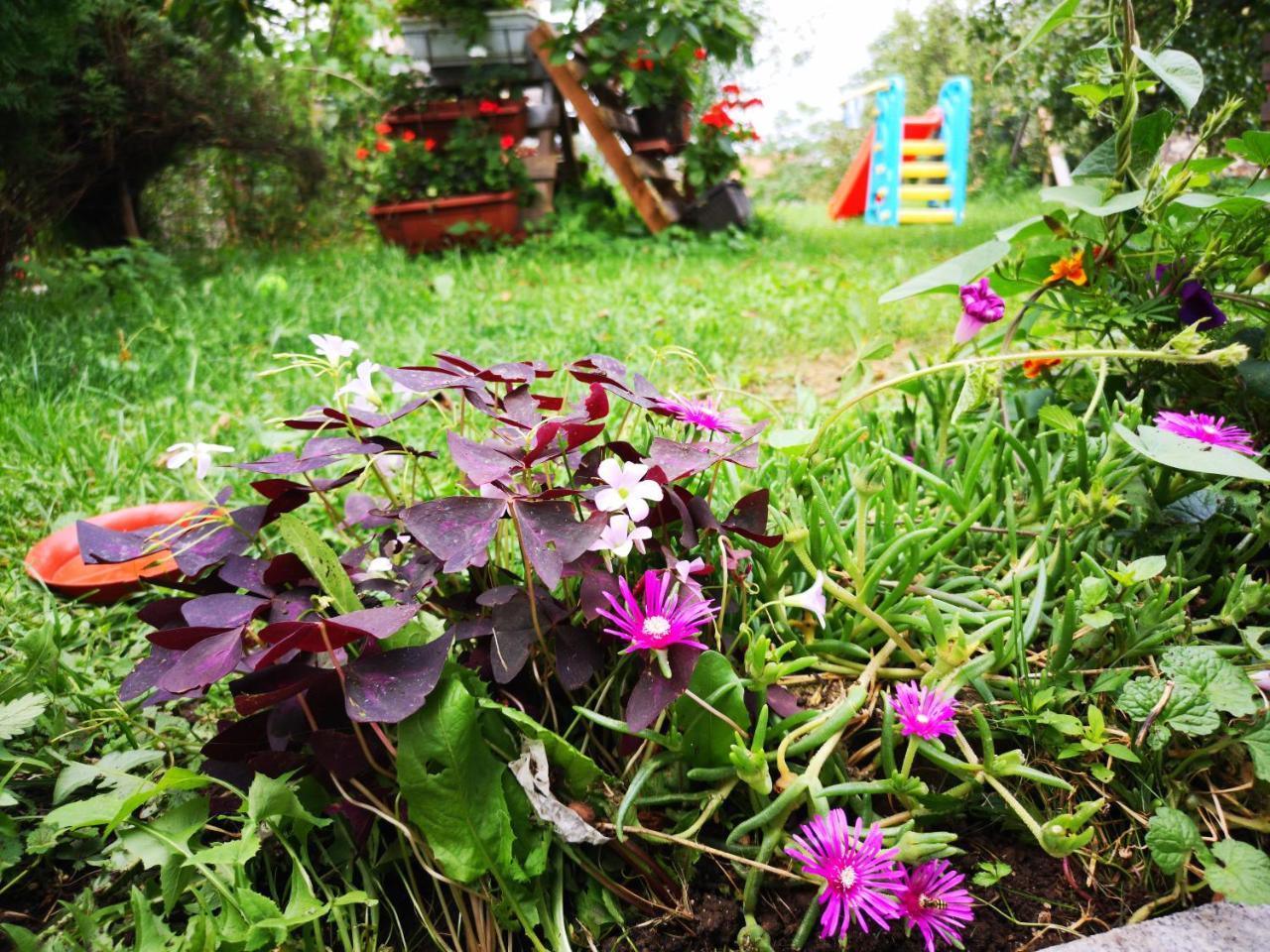 Family Apartment With Garden Sarajevo Buitenkant foto