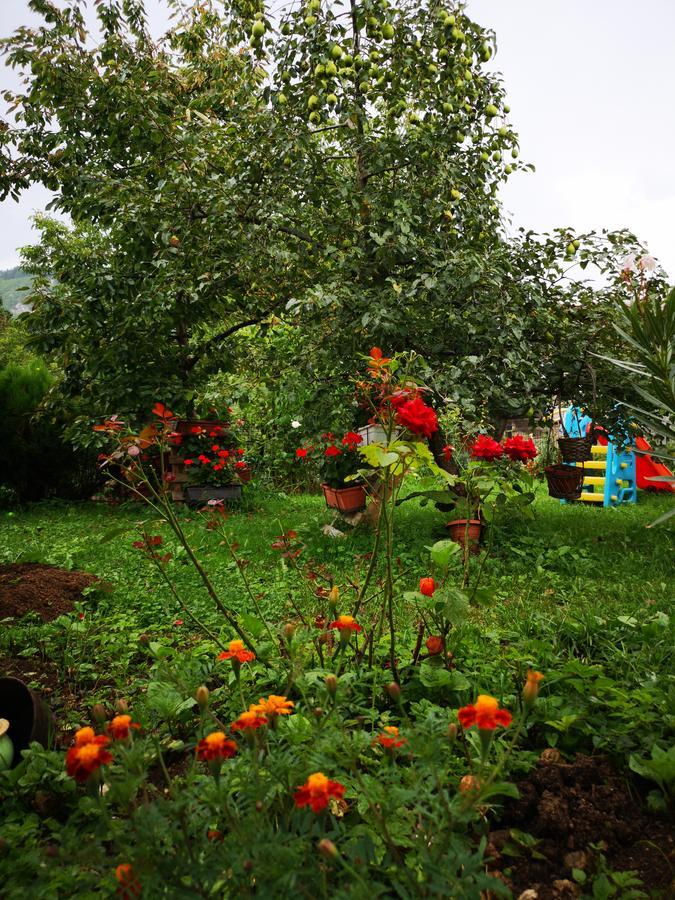 Family Apartment With Garden Sarajevo Buitenkant foto