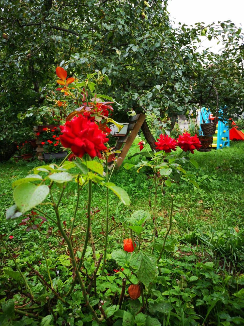 Family Apartment With Garden Sarajevo Buitenkant foto