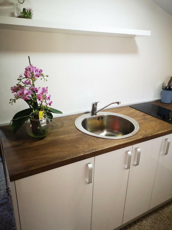 Family Apartment With Garden Sarajevo Kamer foto